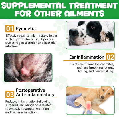 Natural Antibiotics for Dogs - Dog Antibiotics - Antibiotics for Dogs - Pet Antibiotics - Natural Antibiotics for Dogs - Organic Ingredients - Dog Multivitamin 60ml