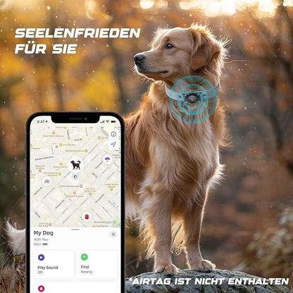 Leather AirTag Dog Collar, Waterproof Dog Collar with Air Tag Holder, Compatible with Apple Air Tag, Reflective, Durable, Comfortable Padded GPS Dogs Collars (Grey, L)