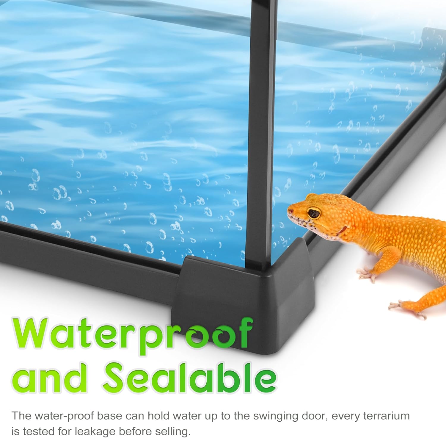 Mini Reptile Glass Terrarium 8"x8"x12" Durable Reptile Habitat Tank with Heat Resistant Aluminum Alloy Frame, Single Swinging Doors for no Jam by Sand and Other Debris - Pawvie