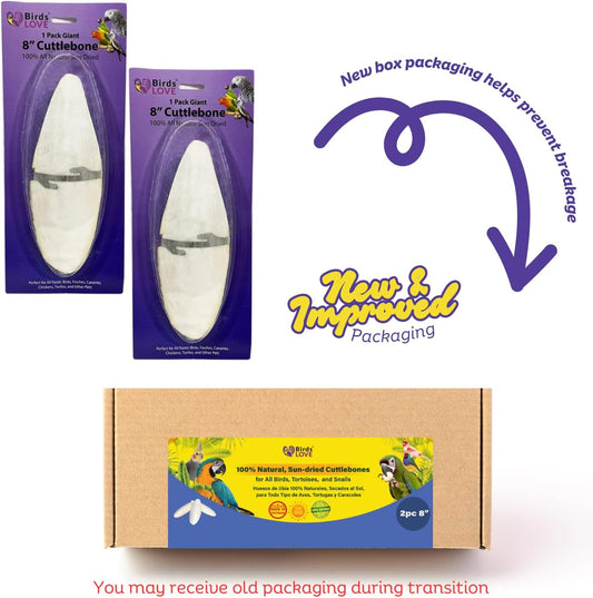 Birds LOVE 2 pc 7.5–8″ Sun-Dried Natural Cuttlebone Kit | 100 % Pure Calcium Supplement for Birds, Tortoises, Snails & Crabs | Beak & Shell Health with Metal Holder