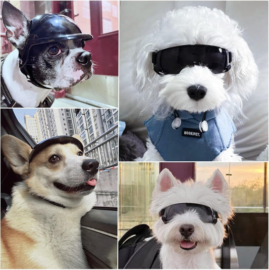 Namsan Small Dog Goggles and Helmet, Dog Motorcycle Helmet with UV Protection Sunglasses for Small Medium Breeds, Hard Doggie Hat with Ear Holes, Adjustable, Black