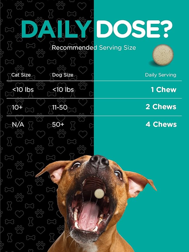 Horbaach Probiotics for Dogs & Cats | Digestive Health Pet Supplement | 120 Chewable Tablets | with 14 Probiotic Strains | Savory Beef Flavor | by River & RULA