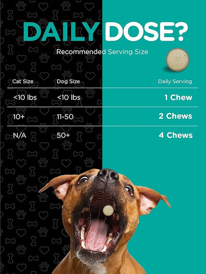 Horbaach Probiotics for Dogs & Cats | Digestive Health Pet Supplement | 120 Chewable Tablets | with 14 Probiotic Strains | Savory Beef Flavor | by River & RULA