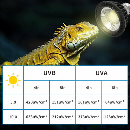 UVB Light Bulb for Reptiles, LED 3W 10.0 UVA UVB Heat Lamp Bulbs Ideal for Rainforest Reptiles, Bearded Dragons Lizard Turtle Tortoise Iguanas Chameleons Snake (2 Pack)