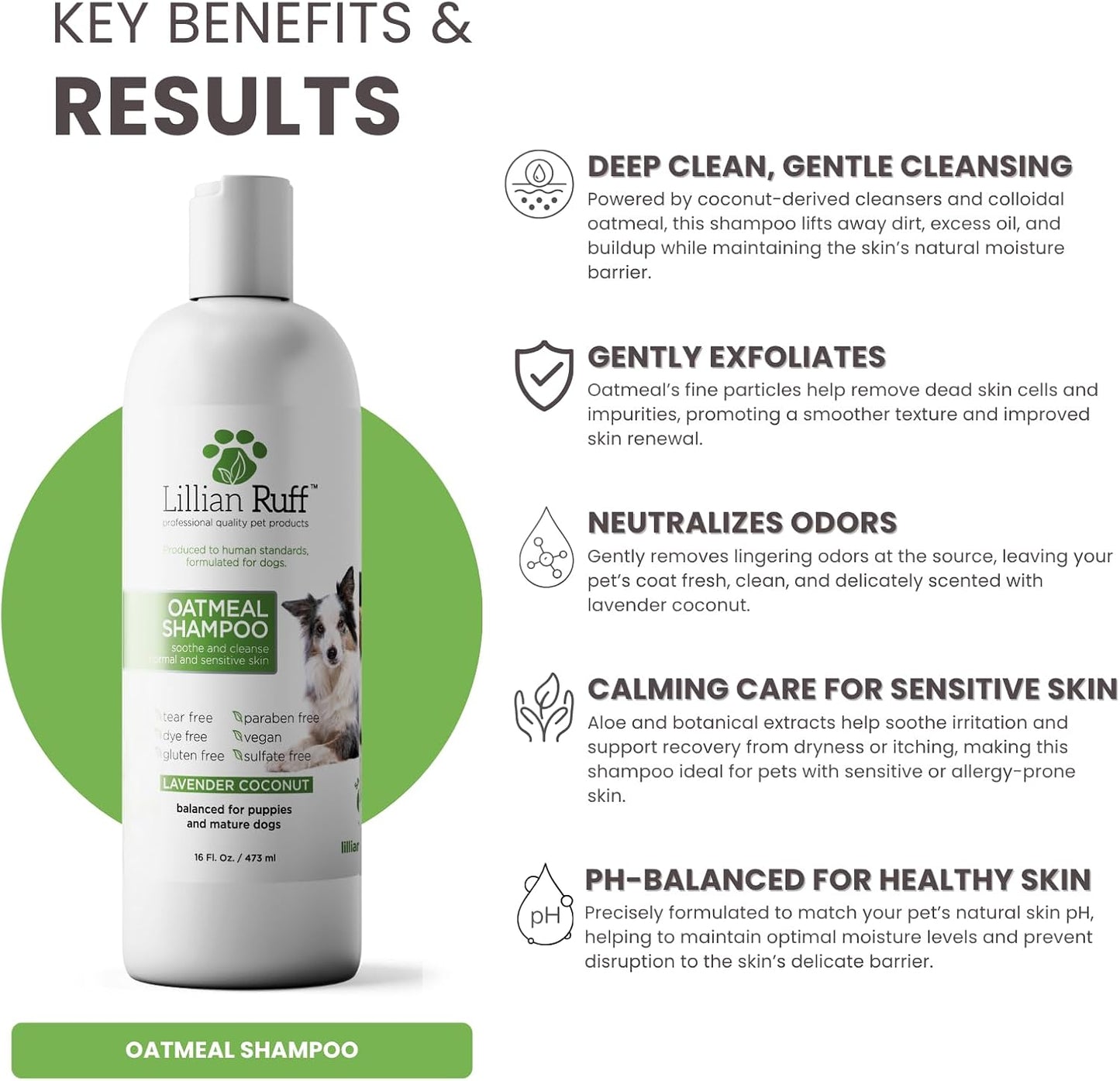 Lillian Ruff PRO Formula Deodorizing Oatmeal Dog Shampoo - Calms Itching & Allergies, Ultra-Nourishing Dry Skin Relief - Oatmeal, Aloe, Coconut Oil, Lavender & Provitamin B5 - Made in USA 16oz+Brush