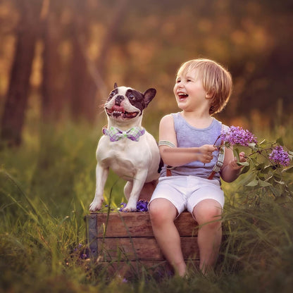 Elegant Plaid Collar With Cute Bow for X-Small Puppy and Cat