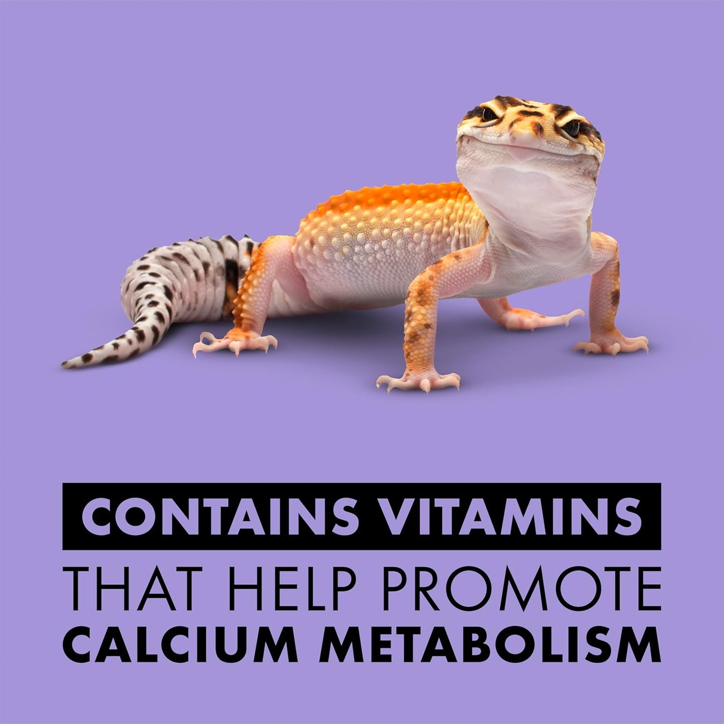 Zilla Vitamin Supplement Food Spray, with Carotene, Spray-on Multivitamin Supplement for Reptiles