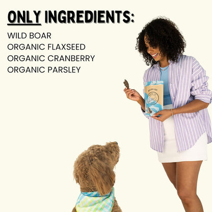 Winnie Lou Wild Boar Jerky Dog Treats – Limited Ingredient, Human Grade, Training Treats for Small, Medium & Large Dogs, Made in USA (2 Pack)