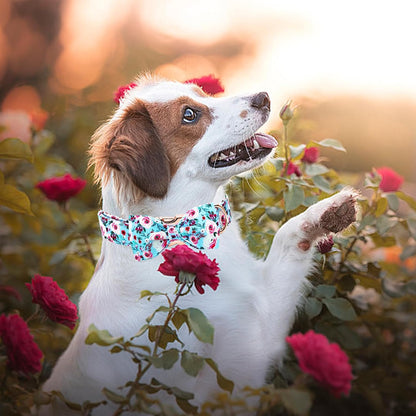 Elegant little tail Dog Collar, Rose Print Pet Collar Summer Dog Collar Durable Metal Buckle Dog Collars Cotton Pet Adjustable Dog Collars for Large Dogs