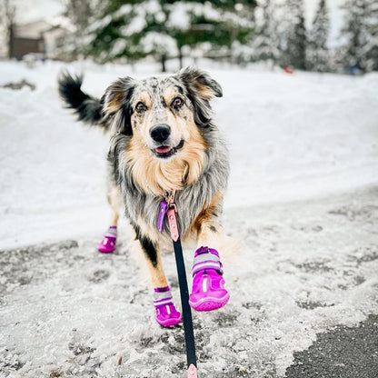 QUMY Dog Shoes for Large Dogs, Medium Dog Boots & Paw Protectors for Winter Snowy Day, Summer Hot Pavement, Water-Resistant in Rainy Weather, Outdoor Walking, Indoor Hardfloors Skid-Resistant Sole