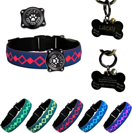 LED Dog Collar with AirTag Holder and Custom ID Tag, 15 Light Modes, Waterproof, Multiple Colors (BLUE, XL(19.7-23.6"))