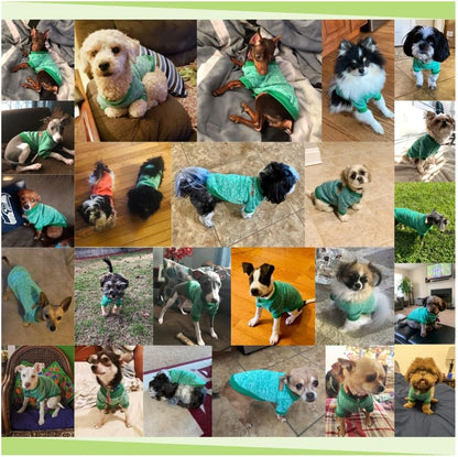 Jecikelon Dog Clothes Dogs Sweater Soft Puppies Clothing Winter Puppy Sweaters Warm Outfit for Dogs Small XXS XS Cat Apparel (Large, Green)