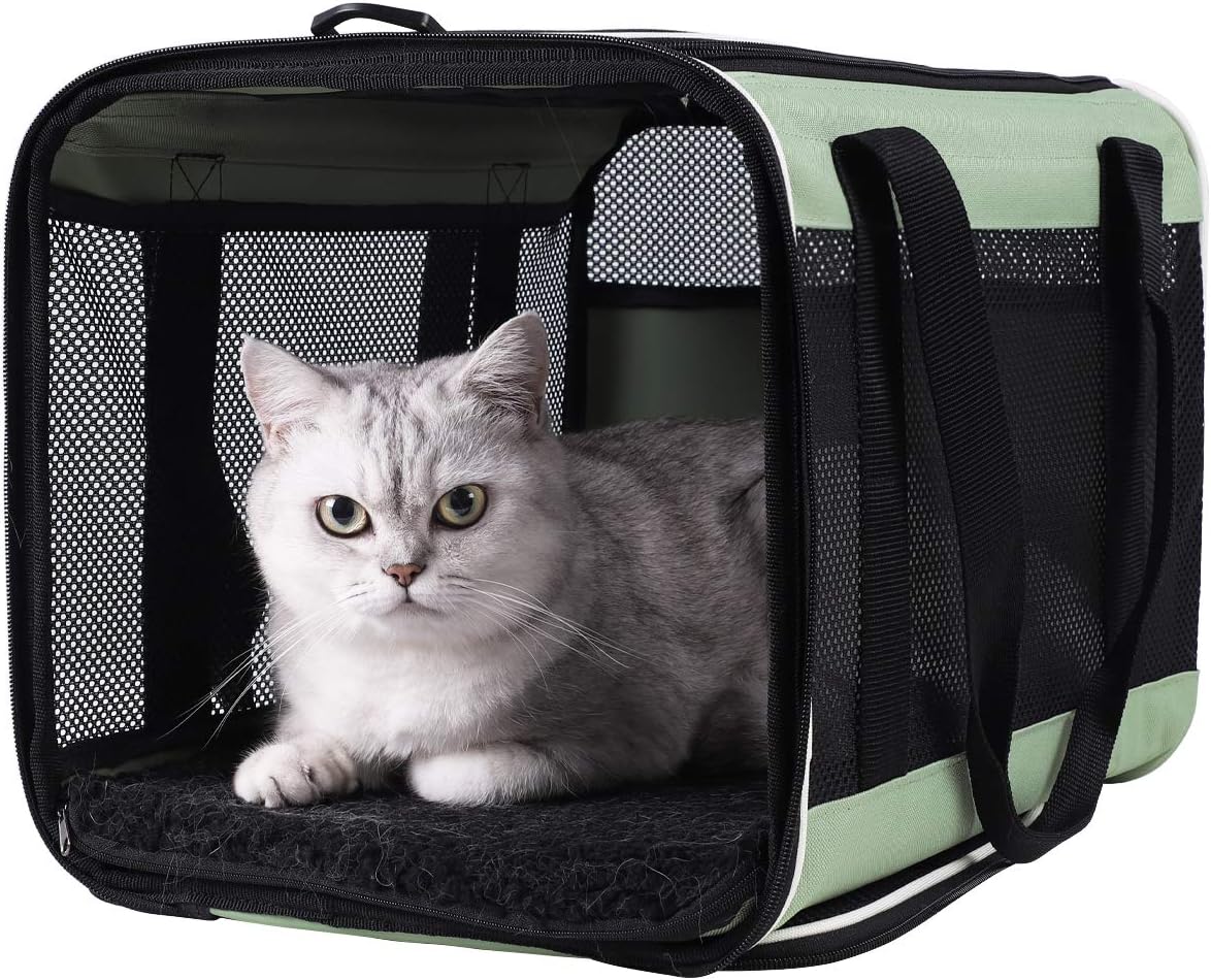 petisfam Easy Load Pet Carrier for Large, Medium Cats, 2 Cats and Small Dogs with Comfy Bed. Easy to Get Cat in, Escape Proof, Easy Storage, Washable, Safe and Comfortable for Vet Visit and Car Ride - Pawvie