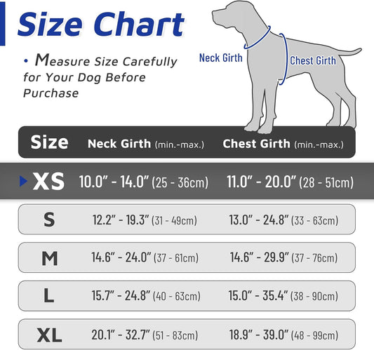 Eagloo Small Dog Harness No Pull, Service Vest with Reflective Strips and Control Handle, Adjustable and Comfortable for Walking, No Choke Pet Harness with 2 Metal Rings, Blue & Orange, XS