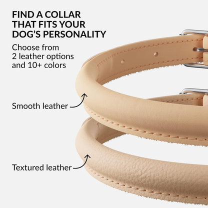 CollarDirect Rolled Leather Dog Collar, Soft Padded Round Puppy Collar, Handmade Genuine Leather Collar Dog Small Large Cat Collars 13 Colors (11-14 Inch, Beige Smooth)