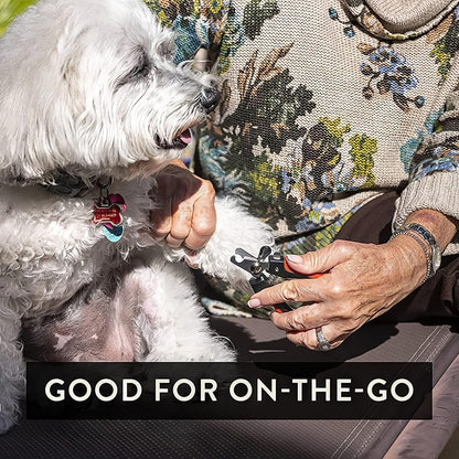 Pet Care Pedicure Kit for Dogs, Cats, Birds and Reptiles - Nail Clippers, File and Scissors Style Clippers Plus Case (2 Miller's Forge Nail Clippers, Small Scissors Style Clipper and One Nail File)