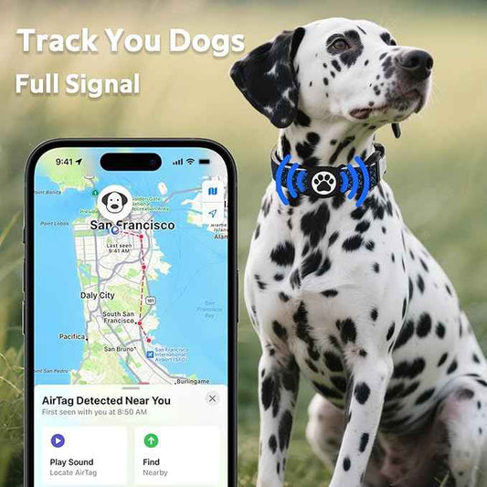 WhoseID Dog Collar with Waterproof AirTag Holder & Anti-Lost QR Code, Cute Bling Warpping Adjustable Width for Small Medium Large Pet (Blue, L)