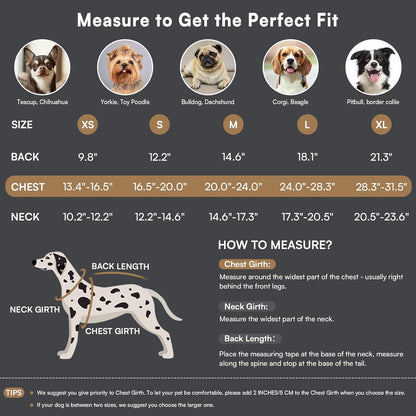 Queenmore Dog Winter Coat Warm Puffer Jacket Waterproof Plush Lining Thermal Cold Weather Vest for Small Medium Large Dogs, Windproof Easy On Pet Jacket Black XS