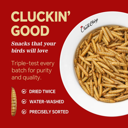 Dried Black Soldier Fly Larvae, Non-GMO, Natural Chicken Treats & High-Protein Poultry Snacks for Backyard Chickens, Laying Hens & Ducks, 10 lb Box