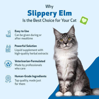 Pet Wellbeing Slippery Elm for Cats - Organic Herb, Supports Healthy Digestive Tract, Gut Lining, Throat Comfort, Lower Urinary Tract Health - Veterinarian-Formulated Herbal Supplement 2 oz (59 ml)