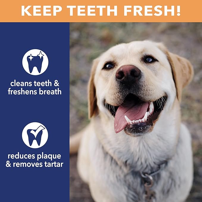Pet Factory CareChewz Collagen +Plus 9" Rovers Dog Chew Treats - Chicken Flavor, 3 Count/1 Pack