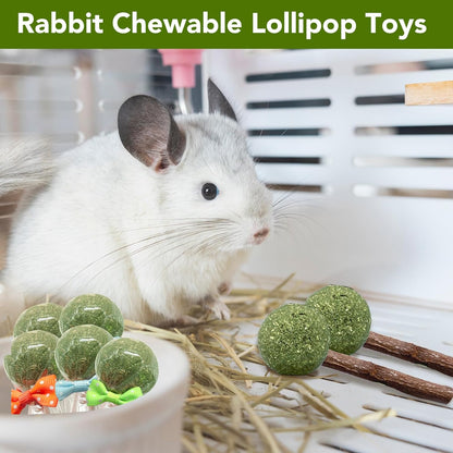 18-Pack Natural Alfalfa & Apple Wood Chew Lollipops for Small Pets - Healthy Dental Toys for Hamsters, Rabbits, Guinea Pigs, Chinchillas