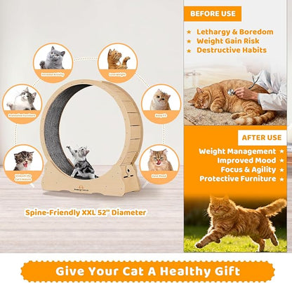 Homegroove XXL Cat Exercise Wheel, 52"/132cm Large Cat Wheel, Solid Wood Cat Treadmill with Integrated Safety Lock, Spine Alignment Design for Large Indoor (XXL, Natural Wood)