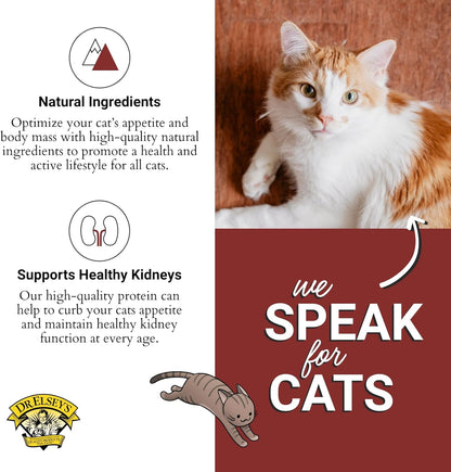 Dr. Elsey's cleanprotein Salmon Recipe Wet Cat Food, Pate 5.3 oz cans (Pack of 24)