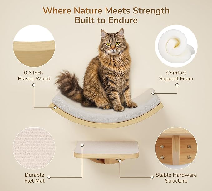Cat Window Perches, Curved Cat Wall Beige Bed and 2 Floating Wall Steps, Wall Mounted Climbing Shelves for Sleeping, Playing, and Lounging