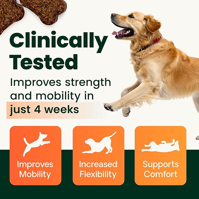 VetriScience Extra Strength Healthy Hip&Joint Chews,GlycoFlex 3,Glucosamine,Green-Lipped Mussel,Joint Support Supplement for Dogs,Promote Mobility&Soothe-Joint Discomfort,Chicken,120 Count (Pack of 2)
