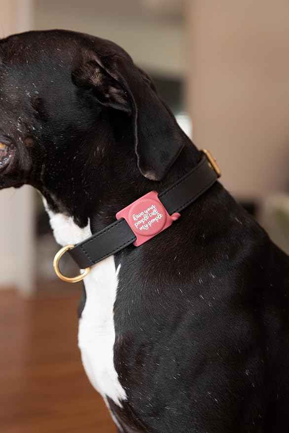 Two Tails Have Your People Dog Collar Airtag Holder, Slide-On Full Coverage Silicone Case for Pets, Secure and Durable Airtag Protector for Dogs and Puppies, Keeps Tracker Hidden, Easy to Clean