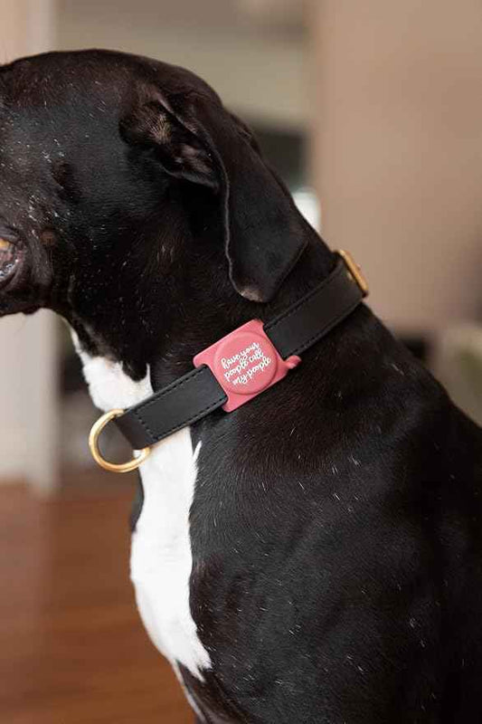 Two Tails Have Your People Dog Collar Airtag Holder, Slide-On Full Coverage Silicone Case for Pets, Secure and Durable Airtag Protector for Dogs and Puppies, Keeps Tracker Hidden, Easy to Clean