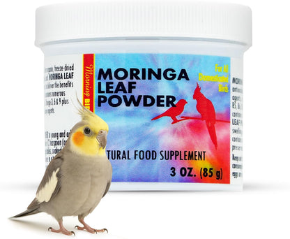 Morning Bird Moringa Leaf Powder 3 oz – Natural Food Supplement for Birds, Rich in Vitamins & Minerals, Boosts Immune System & Energy, Supports Healthy Feathers, Digestion, and Overall Avian Wellness