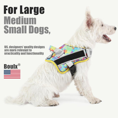 Bolux Dog Harness, No-Pull Reflective Dog Vest, Breathable Adjustable Pet Harness with Handle for Outdoor Walking - No More Pulling, Tugging or Choking (X-Small (Pack of 1), Watercolour)