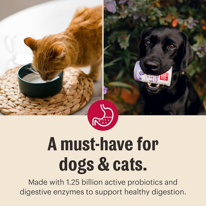 The Honest Kitchen Human Grade Instant Goat's Milk with Probiotics for Dogs and Cats, 5.2 Ounces