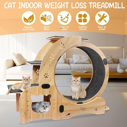 6-in-1 Cat Exercise Wheel, Upgraded Large Cat Wheel Exerciser, Running Wheels for Indoor Cats, Cats Wheel with Silent (Wood)
