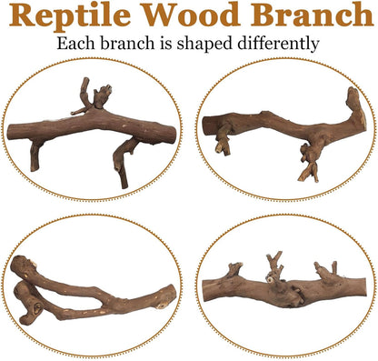 kathson 2PCS Snake Climbing Branch,Reptile Wood Branches Decor, Lizard Natural Wood Climb Accessories,Reptiles Habitat Tank Tree Trunk Decorations for Bearded Dragon Geckos Chameleons Frog