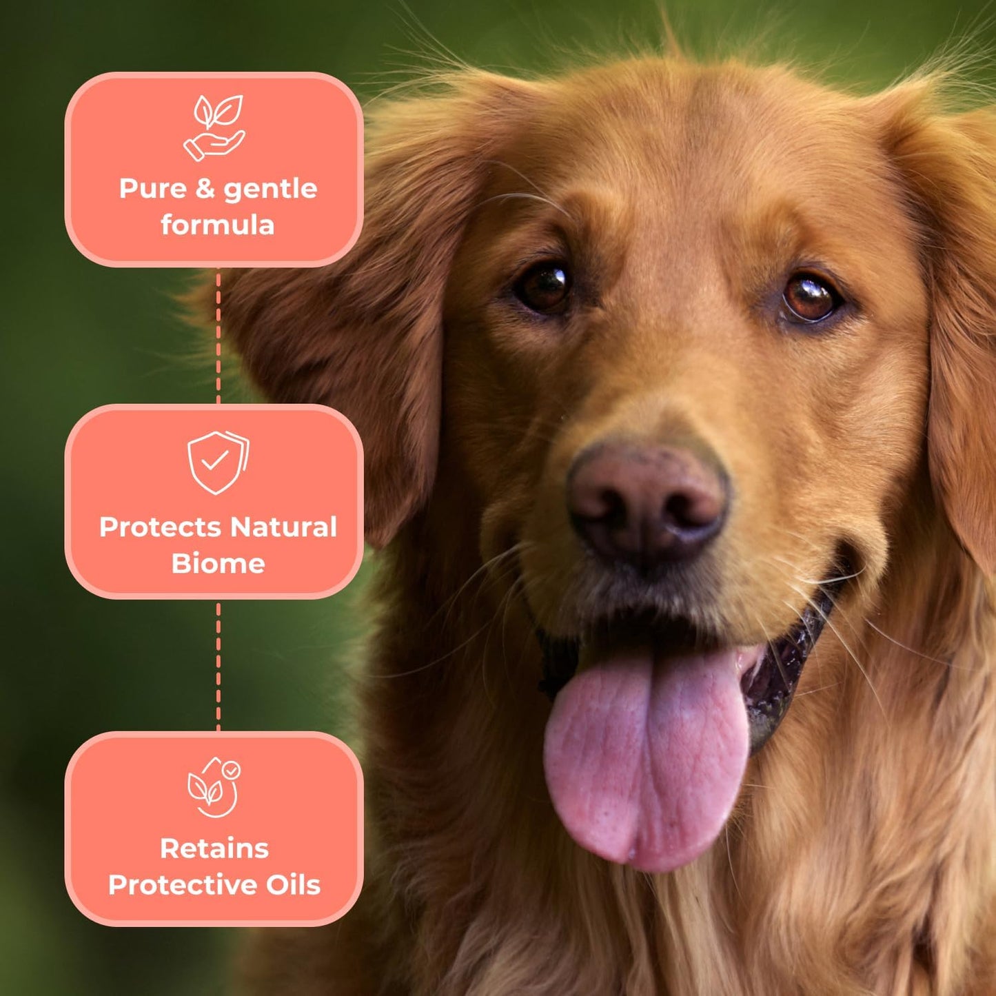 COAT DEFENSE Paw Licker Bundle | Dry Powder for Dogs & Sensitive Skin Dog Shampoo for Allergies and Itching | Smell & Itch Relief | Itchy Skin Relief & Yeast Dog Treatment