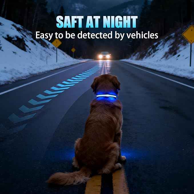 LED AirTag Dog Collar - Brightest Light Up Dog Collars - IP68 Waterproof Air Tag Dog Collar Holder - 1,600 Feet of High Visibility - Magnetic Charging - Dog Lights for Night Walking, Black XL