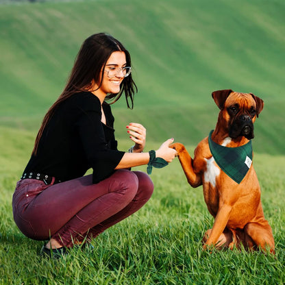 E-Clover Summer Dog Bandanas Boy & Matching Scrunchie Set Plaid Dog Bibs Scarf Triangle Kerchief Bandana for Medium Large Dogs Birthday Gifts Pet Owner Mom Green