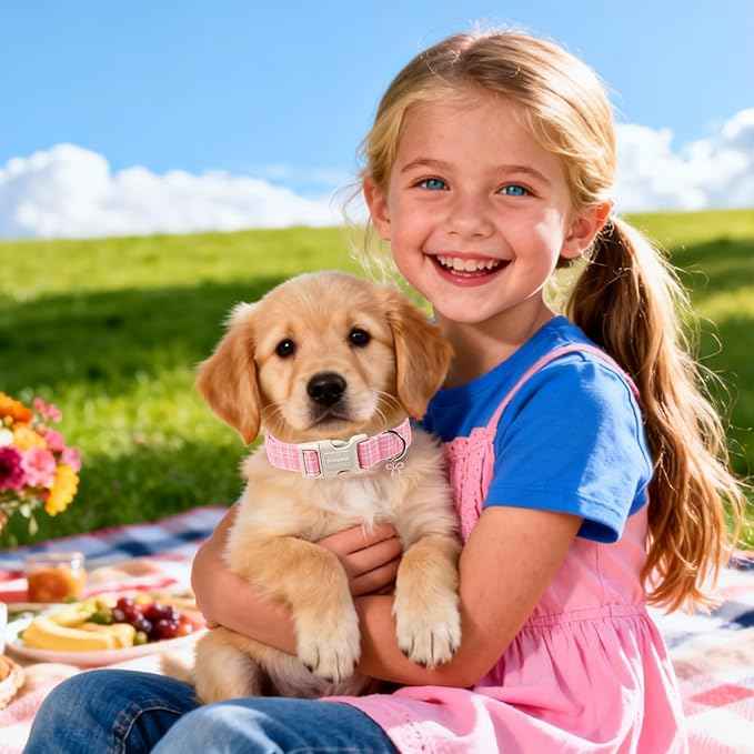 DOGWONG Pink Plaid Collar for Small Medium Large Dogs - Pink Dog Collar for Girl Female Dogs,XS