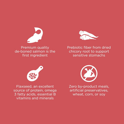 Go! Solutions Sensitivities Limited Ingredient, Grain-Free Dry Cat Food, Salmon Recipe for Sensitive Stomach, 12 lb Bag