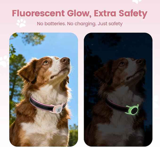 for Airtag Dog Collar Holder with QR ID Tag, Glow in the Dark, Fluorescent Waterproof Silicone for Airtag Case for Dog Collars, Scan for Instant Alert, Emergency Contact, Pet Profile (Blissful Pink)