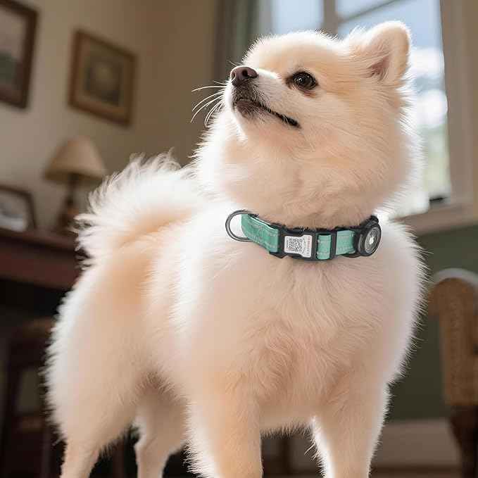 Airtag Dog Collar with QR Code, Reflective Dog Collar with Airtag Holder, Soft Padded & Safety Locking Buckle Adjustable Pet Collar for Medium Dogs