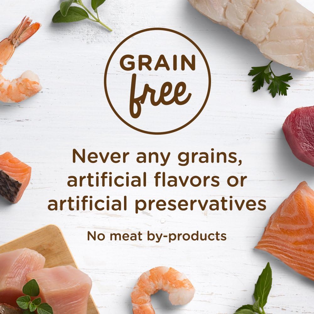 Rachael Ray Nutrish Natural Wet Cat Food, Ocean Lovers Variety Pack, 2.8 Ounce Cup (Pack of 12), Grain Free