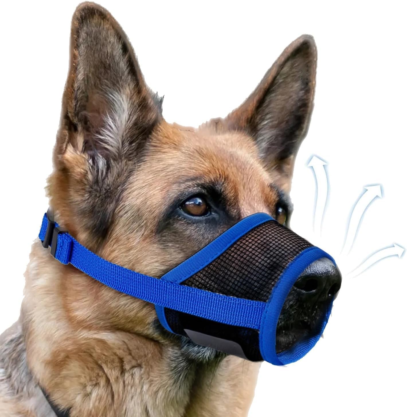 Dog Muzzle, Soft Air Mesh Muzzle for Small Medium Large Dogs Anti Biting Barking Chewing, Breathable Drinkable Adjustable Loop Pets Muzzle for German Shepherd Husky Labrador Retriever (Blue,M)