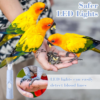 Lasnten 2 Pcs Bird Nail Grinder with Bird Nail Clipper Bird Nail Trimmer Bird Nail File with LED Lamp Grooming Tool for Bird Parrot Budgerigars Parakeets Myna Conure Parakeets Finches Lovebirds