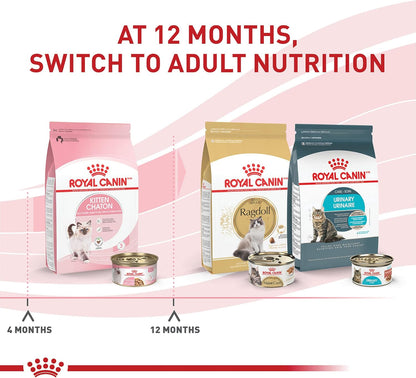 Royal Canin Feline Health Nutrition Kitten Thin Slices in Gravy Canned Cat Food, 3 oz can (6-pack)