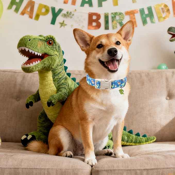 DOGWONG Blue Dog Collar Adjustable Soft Natural Fabric Boy Pet Dog Collar Cute Dinosaur Dog Collars for Small Medium Large Dogs