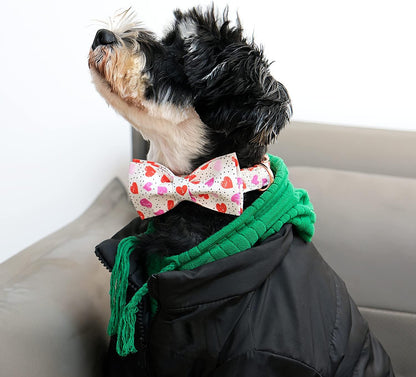 Lionet Paws Valentines Day Dog Collar with Bowtie, Dog Bowtie Collar with Metal Buckle for Dogs and Cats, Adjustable Comfortable Dog Collar Girl Boy Gift，XXS, Neck 7-11 in